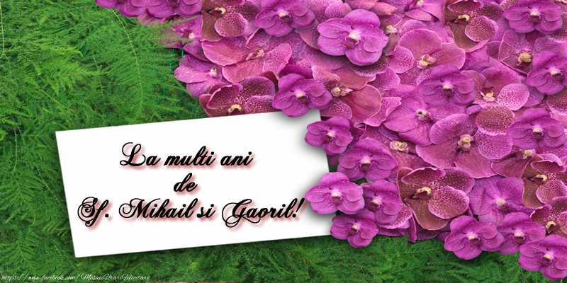 La multi ani de Sf. Mihail si Gavril!