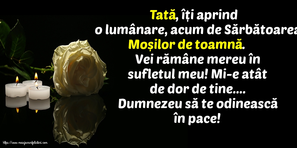 Moșii de toamnă Dumnezeu să te odinească în pace!