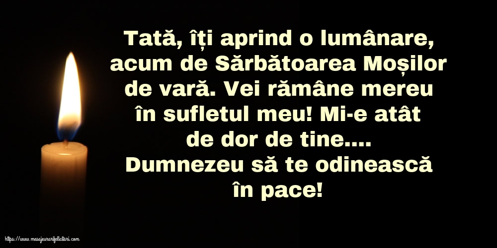 Dumnezeu să te odinească în pace!