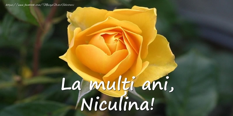 La mulți ani, Niculina!