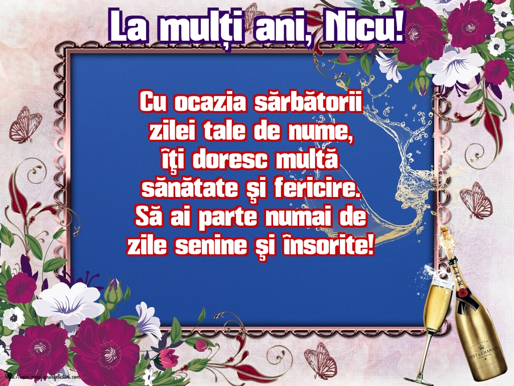 Mos Nicolae La mulți ani, Nicu!
