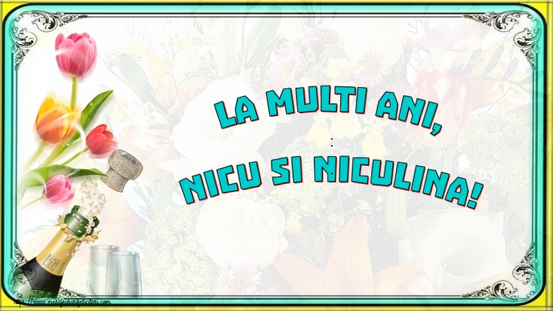 La multi ani, Nicu si Niculina!