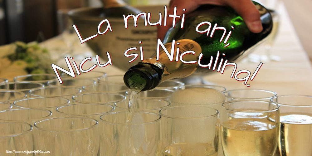 La multi ani, Nicu si Niculina!