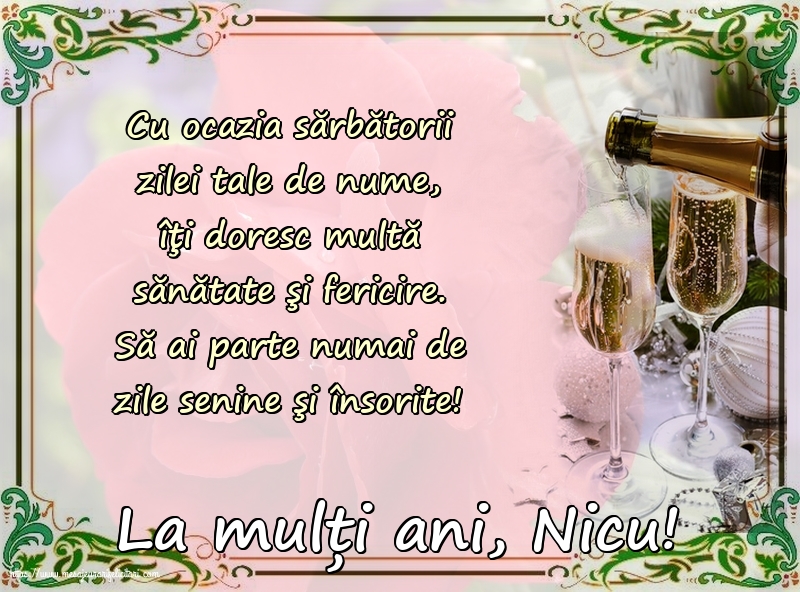 La mulți ani, Nicu!
