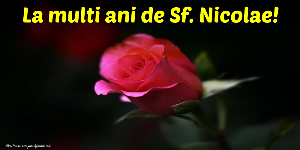 Mos Nicolae La multi ani de Sf. Nicolae!