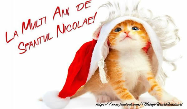 La multi ani de sfantul Nicolae!