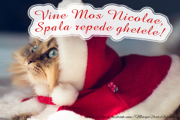 Vine Mos Nicolae. Spala repede ghetele!