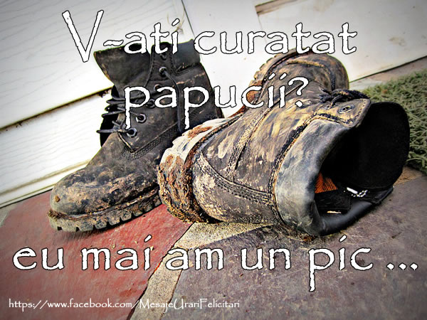 V-ati curatat papucii? Eu mai am un pic...