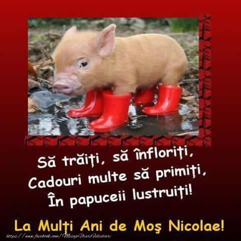 Sa traiti, sa infloriti, Si intotdeauna sa fiti cuminti, Cadouri multe sa primiti, In papuceii lustruiti! Un Calduros La Multi Ani de Mos Nicolae!