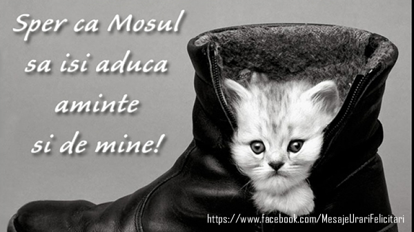 Felicitari de Mos Nicolae - Sper ca Mosul sa isi aduca aminte de mine! - mesajeurarifelicitari.com