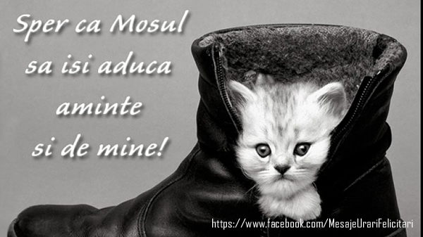 Sper ca Mosul sa isi aduca aminte de mine!