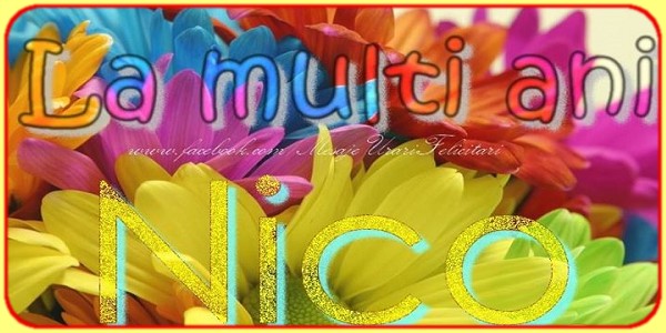 La multi ani Nico