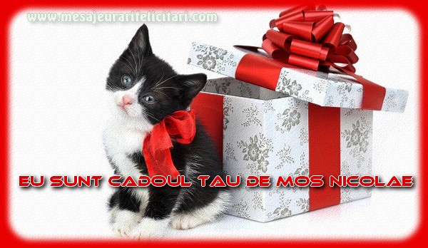 Eu sunt cadoul tau de Mos Nicolae