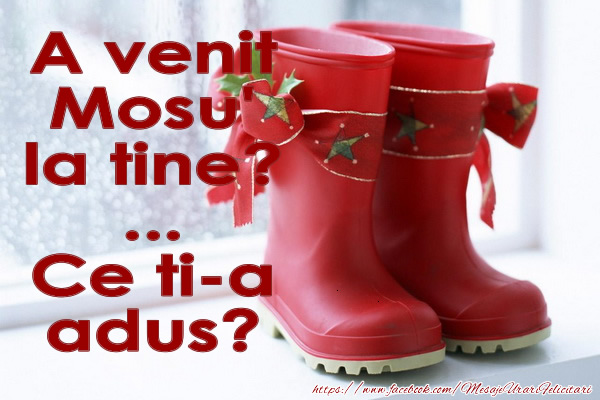 A venit Mosul la tine? Ce ti-a adus?