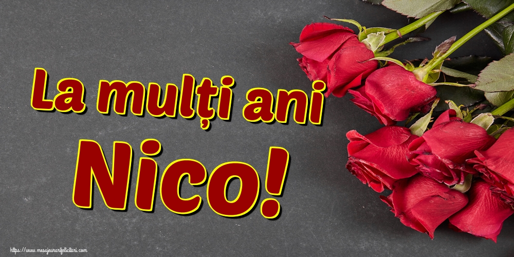 La mulți ani Nico!