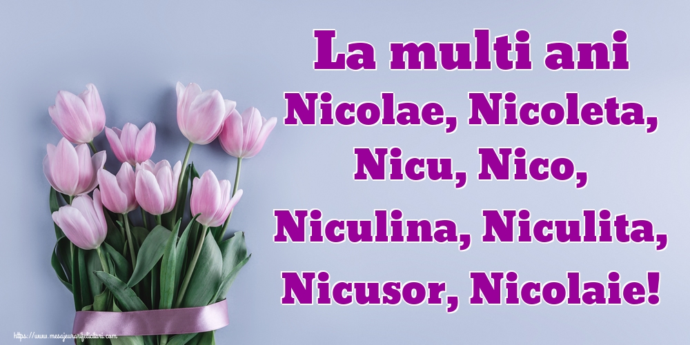 La multi ani Nicolae, Nicoleta, Nicu, Nico, Niculina, Niculita, Nicusor, Nicolaie!