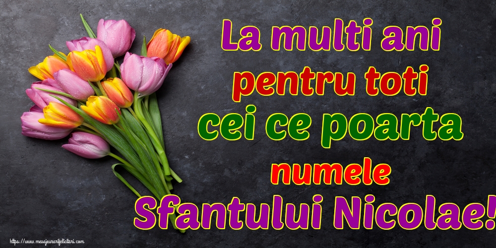 La multi ani pentru toti cei ce poarta numele Sfantului Nicolae!
