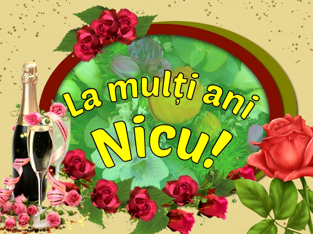 La mulți ani Nicu!