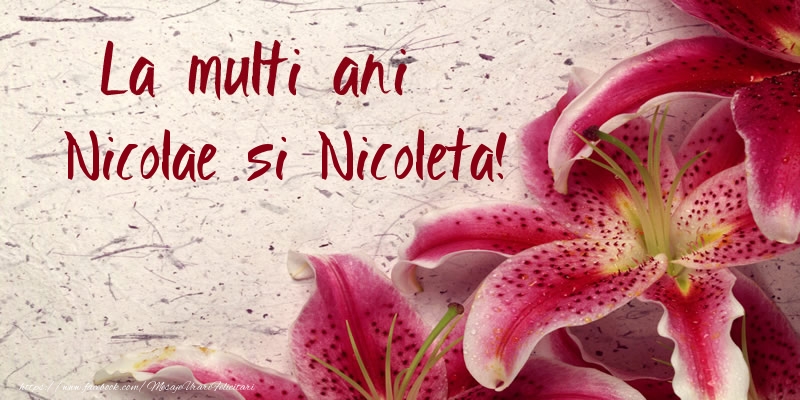 La multi ani Nicolae si Nicoleta!