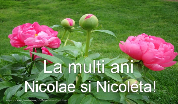 La multi ani Nicolae si Nicoleta!