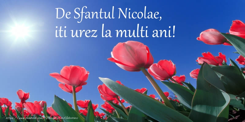 De Sfantul Nicolae, iti urez La multi ani!