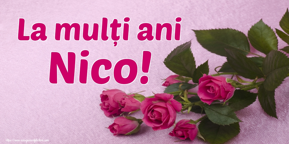 La mulți ani Nico!