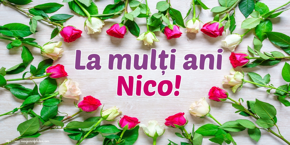 La mulți ani Nico!