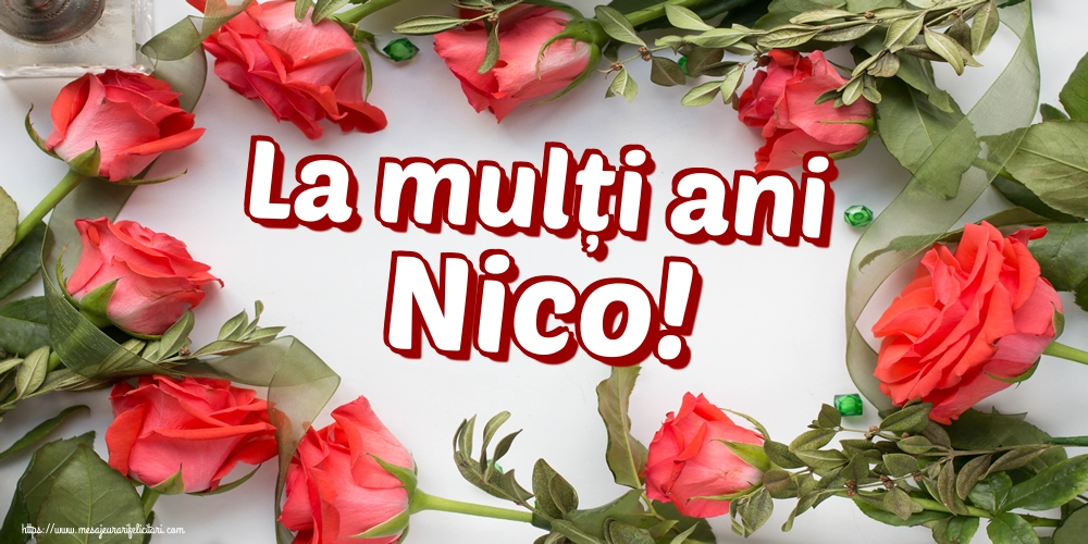 La mulți ani Nico!