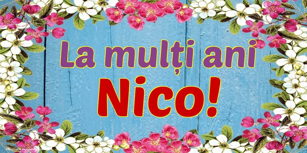La mulți ani Nico!
