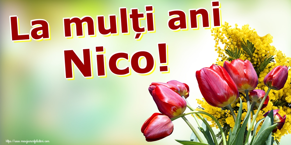 Felicitari de Mos Nicolae - La mulți ani Nico! - mesajeurarifelicitari.com