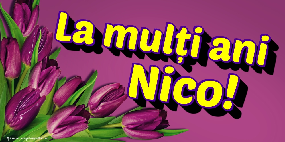 La mulți ani Nico!