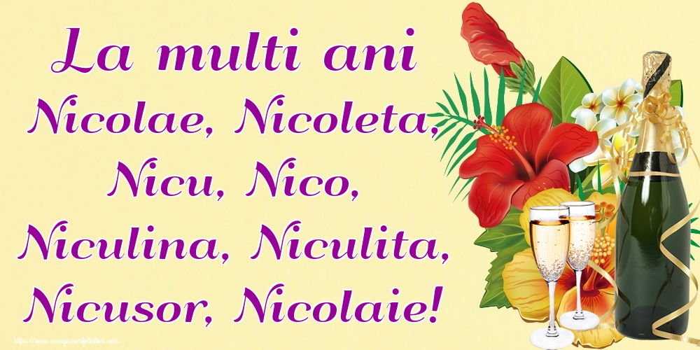 La multi ani Nicolae, Nicoleta, Nicu, Nico, Niculina, Niculita, Nicusor, Nicolaie!