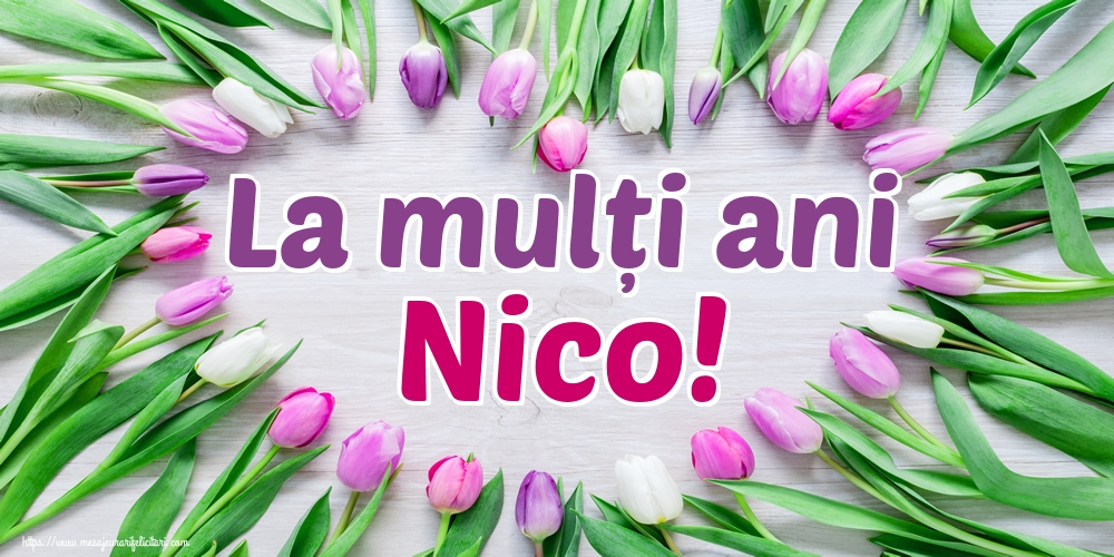 La mulți ani Nico!