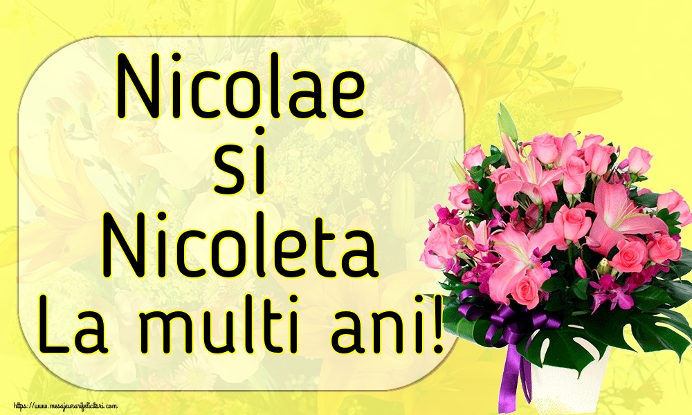 Nicolae si Nicoleta La multi ani!