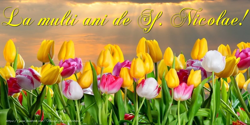 La multi ani de Sf. Nicolae!