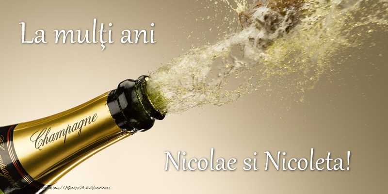 Felicitari de Mos Nicolae - Nicolae si Nicoleta - mesajeurarifelicitari.com