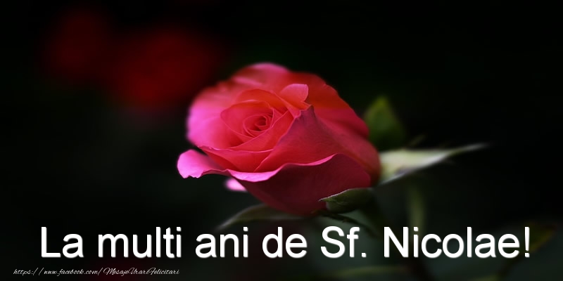 La multi ani de Sf. Nicolae!