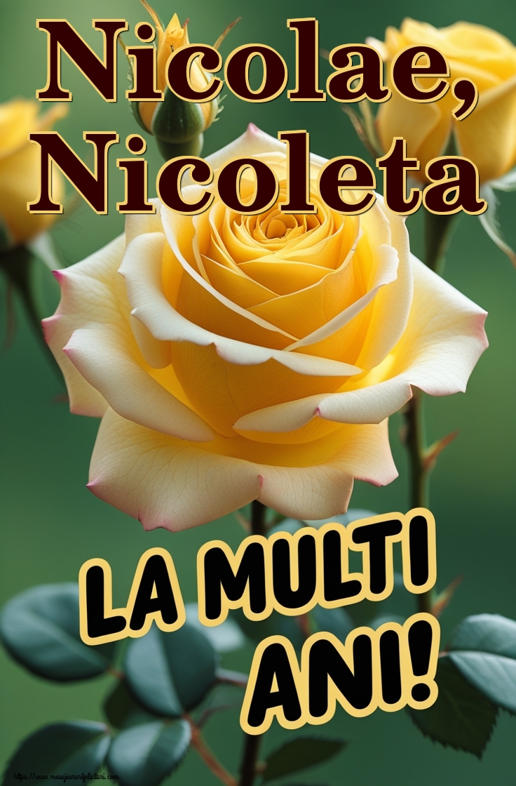 Nicolae, Nicoleta