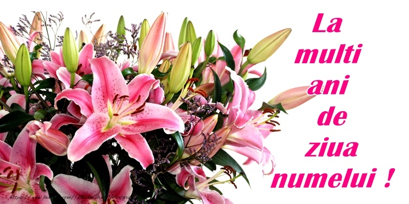 Felicitari de Mos Nicolae - La multi ani de ziua numelui! - mesajeurarifelicitari.com