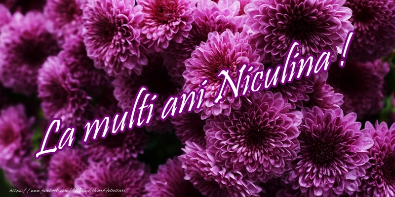 Felicitari de Mos Nicolae - La multi ani Niculina! - mesajeurarifelicitari.com