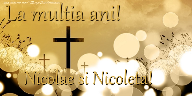 Nicolae si Nicoleta!