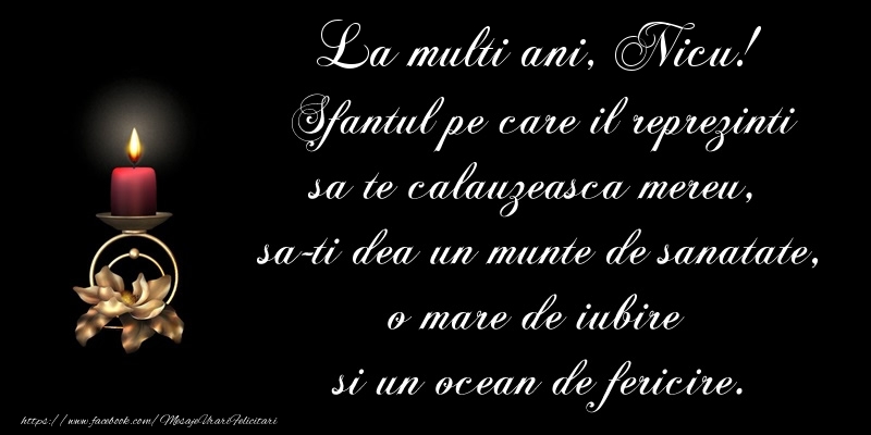 La multi ani, Nicu! Sfantul pe care il reprezinti sa te calauzeasca mereu,  sa-ti dea un munte de sanatate, o mare de iubire  si un ocean de fericire.
