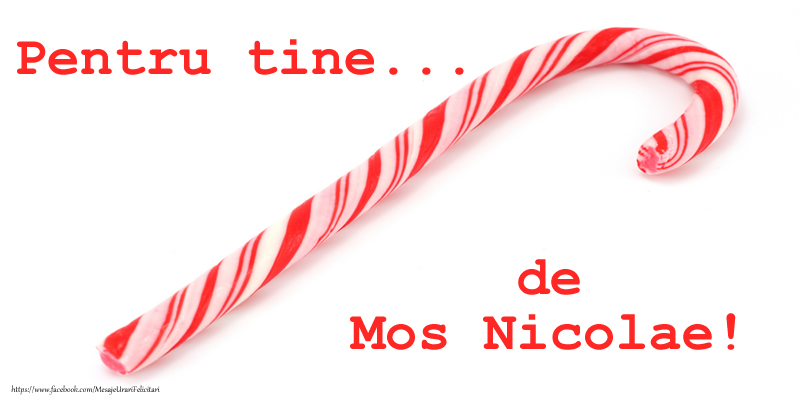 Pentru tine ... o nuielusa de Mos Nicolae!
