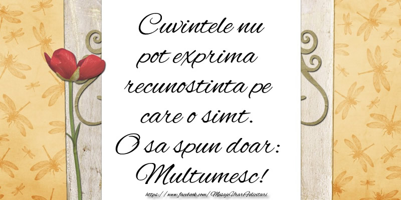 felicitare de multumire Cuvintele nu pot exprima recunostinta pe care o simt. O sa spun doar:  Multumesc!