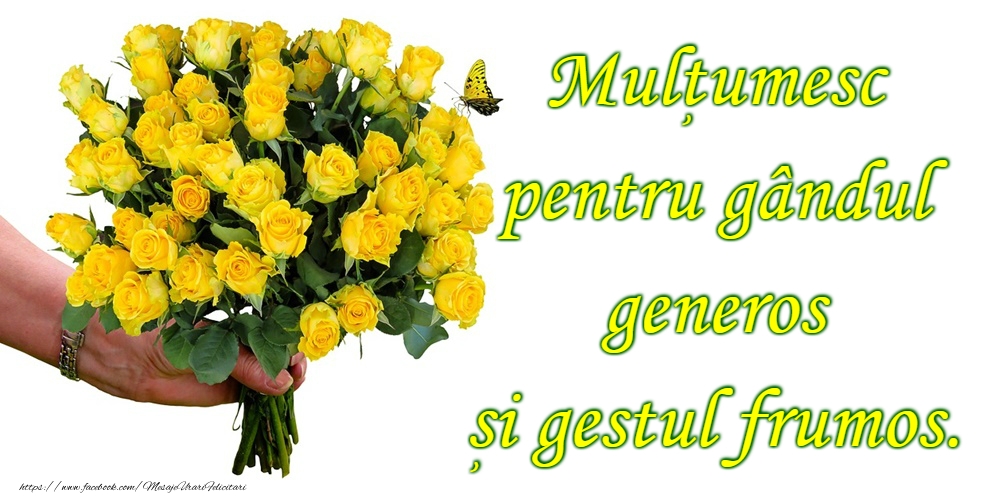Mulțumesc!