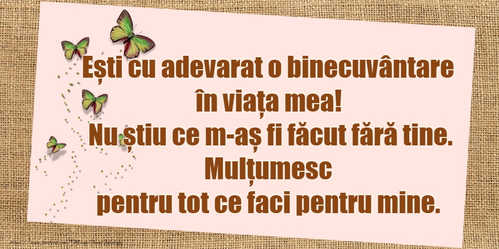 Mulțumesc!