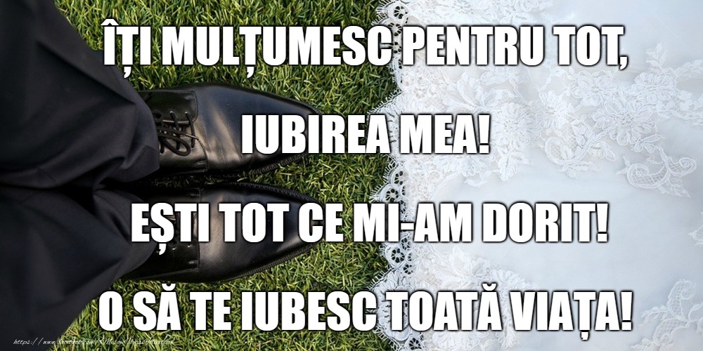 Mulțumesc!