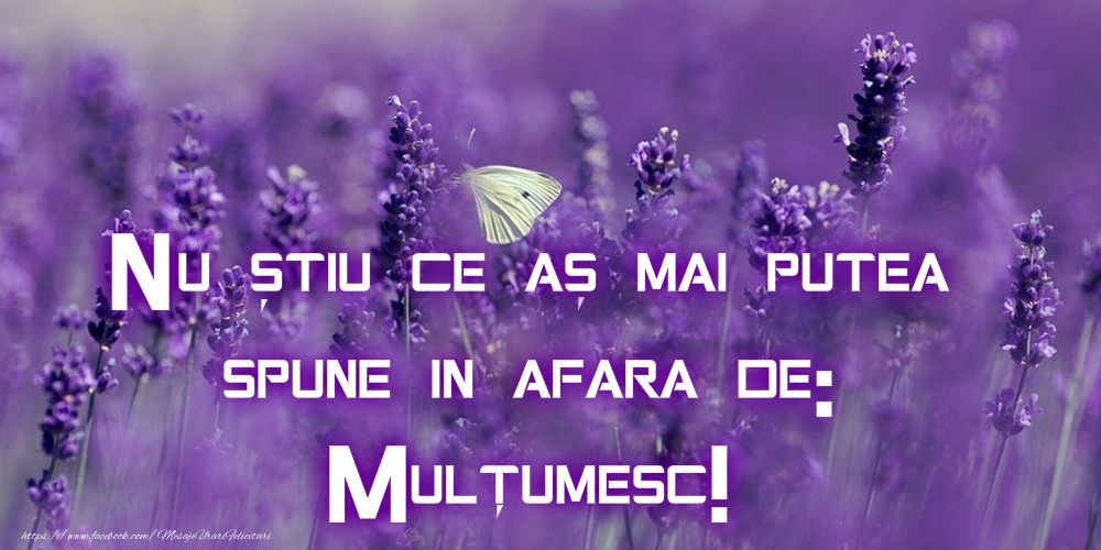 Mulțumesc!