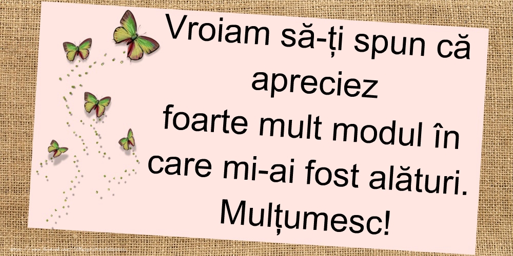 Mulțumesc!