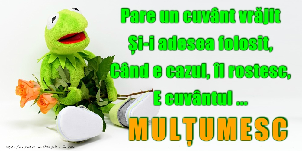 Mulțumesc!
